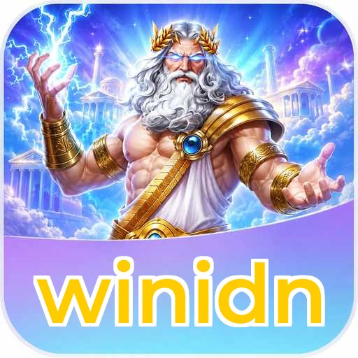 Audit profile winidn